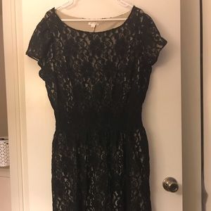 Black Nude Underlay Lace Dress with Waist Cinching